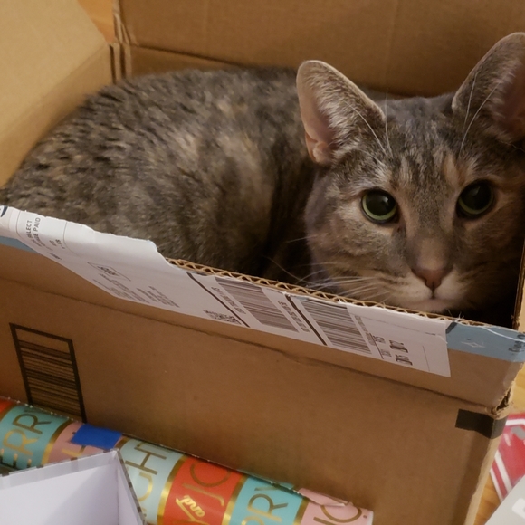 *Meet Your Posher* - Picture 5 of 6